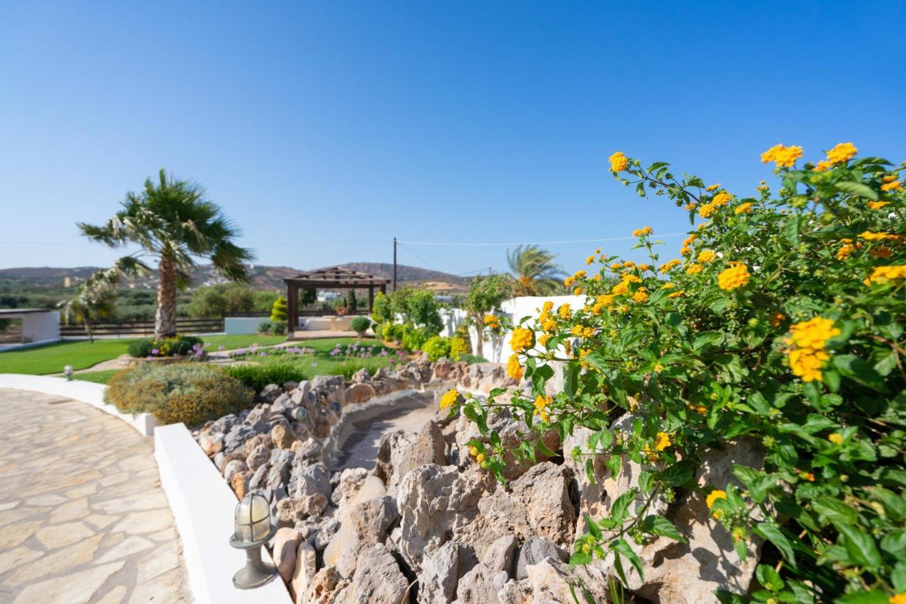 Georgia'S Apartments Kouremenos Beach Anevato Zewnętrze zdjęcie
